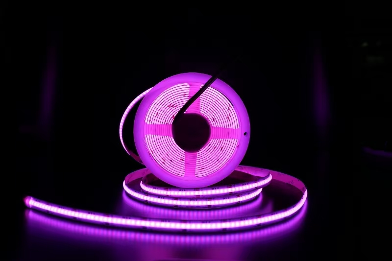 24V-10MM-768燈 常規(guī)rgb